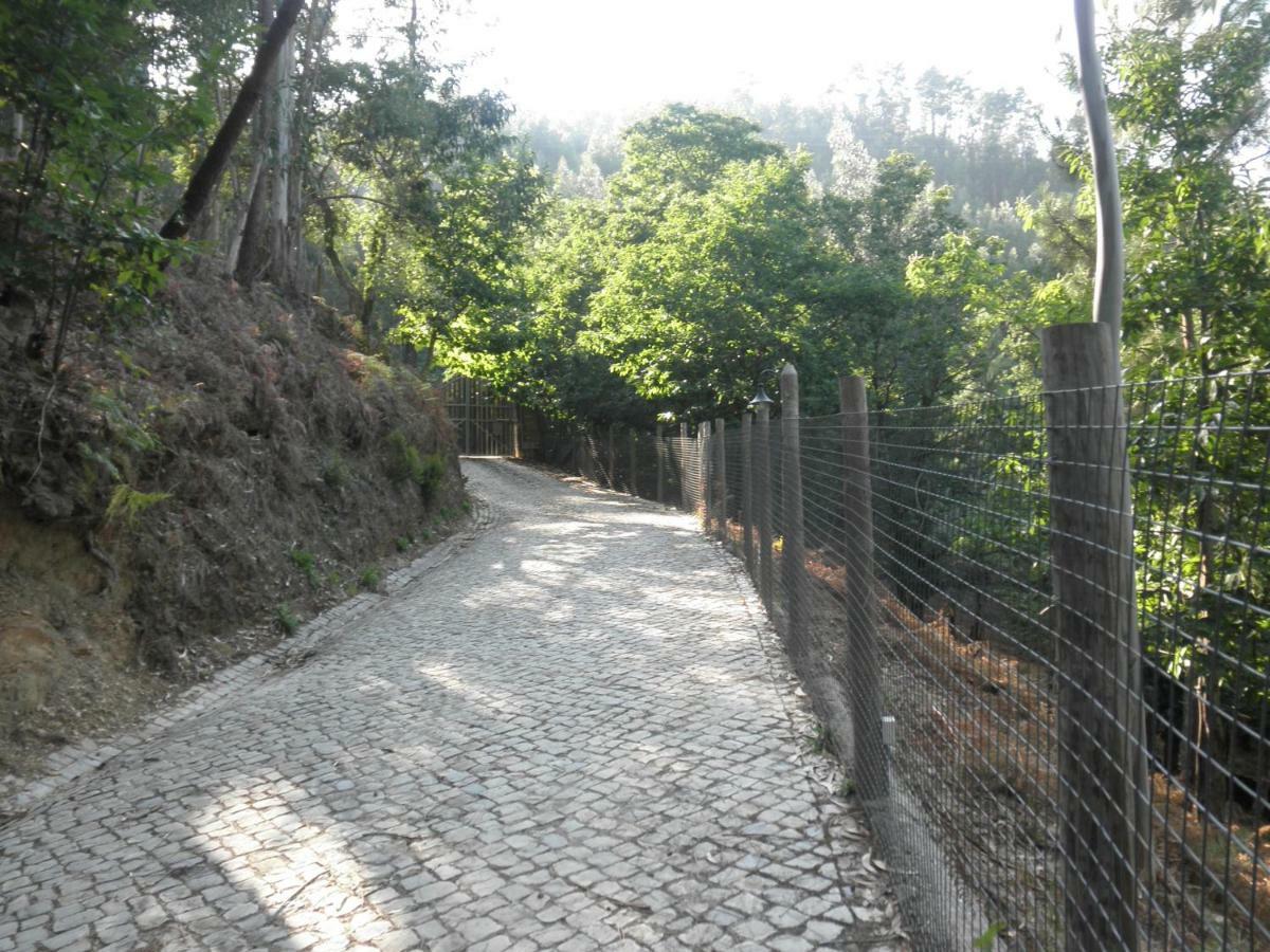 피게이로 두스 비뉴스 Casa Velha 빌라 외부 사진