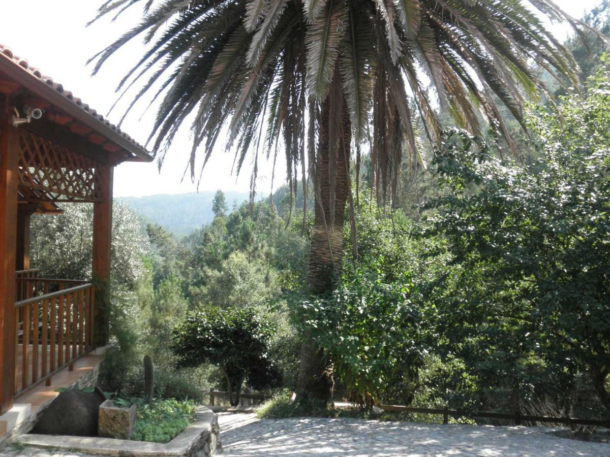 피게이로 두스 비뉴스 Casa Velha 빌라 외부 사진